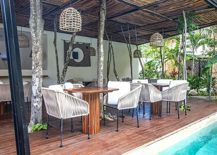 Dk Jade 30 By Sandy Powerful Tulum